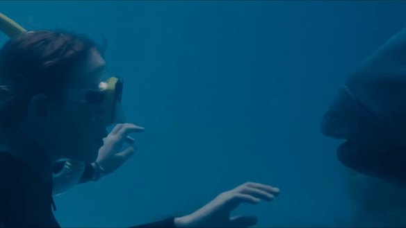 A Western Blue Groper christened Blueback is star of the film based on Tim Winton’s book.