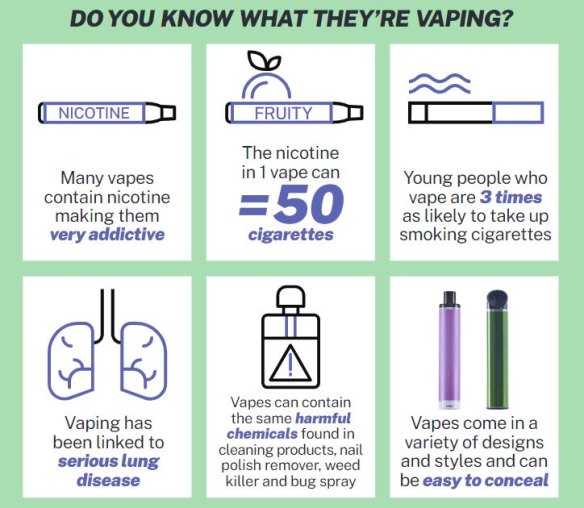 Harmful Ingredients In E Cigarettes Top Sellers | vivatumusica.com