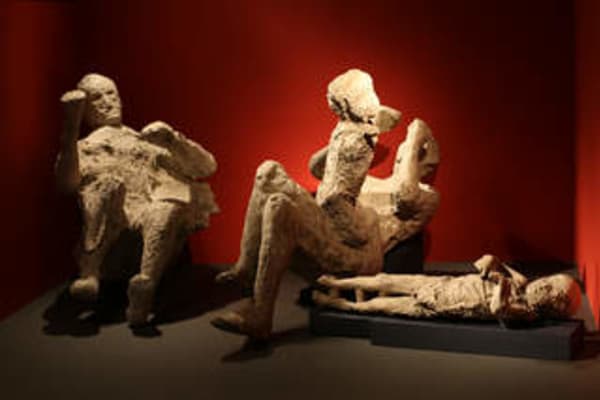 Pompeii's stories continue to thrill