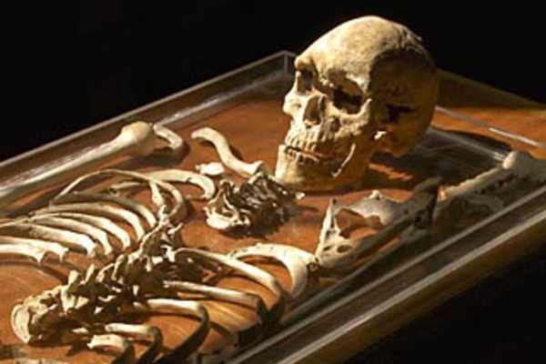 Ill Fated Warrior Needs Some Rest