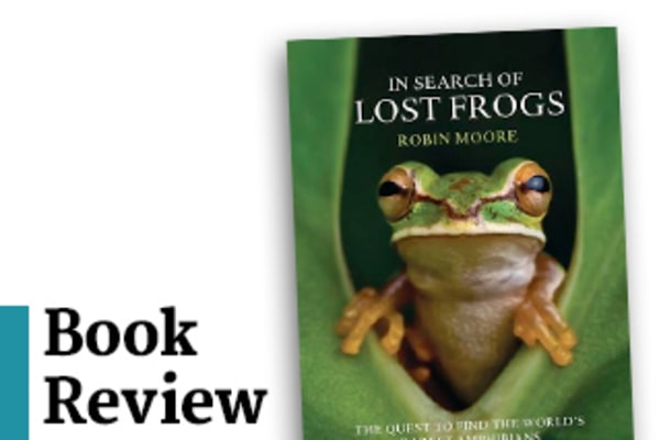 Book Reviews In Search Of Lost Frogs Monster Myth Or