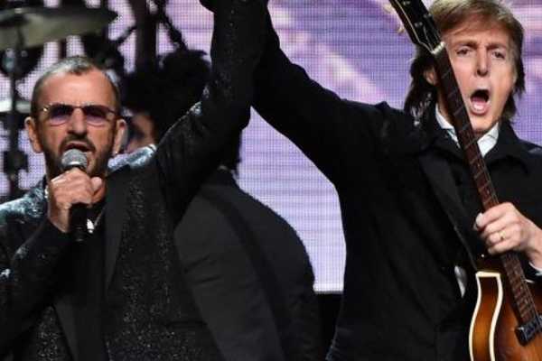 Ringo rag company executive summary essay 02 image