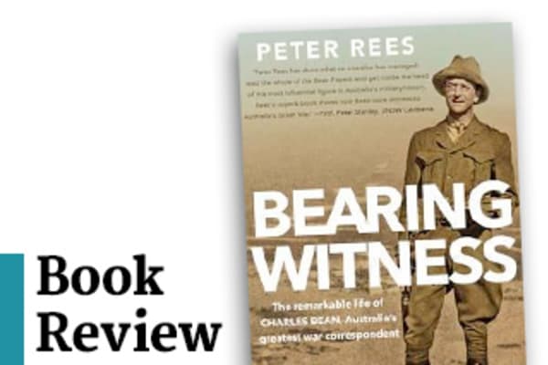 Book Review Bearing Witness By Peter Rees