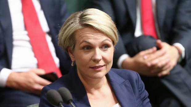 Acting Opposition Leader Tanya Plibersek during question time on Monday.