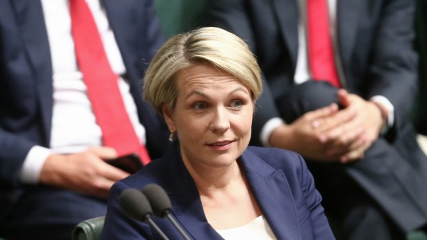 Acting Opposition Leader Tanya Plibersek during question time on Monday.