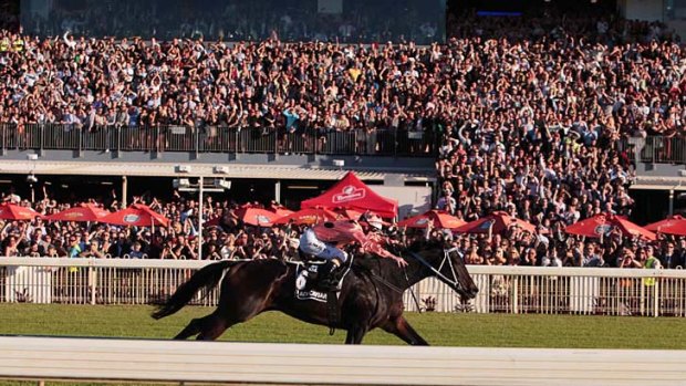 A taste of Black Caviar: The mighty mare thrills the big Doomben crowd with her 13th straight win in the BTC Cup.