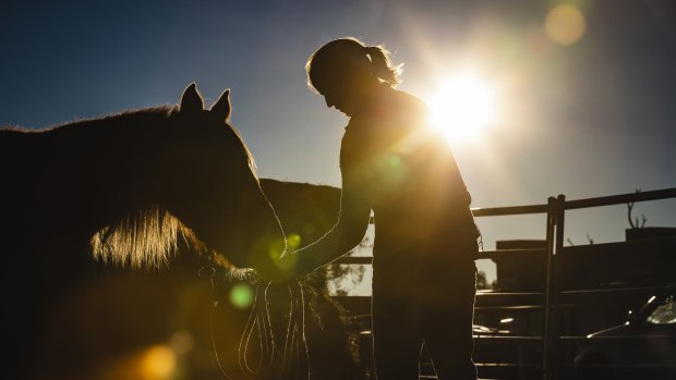 Gunning horse trainer Lauren Woodbridge works with Lark, 11 days after she received the brumby as part of the Australian Brumby Challenge.