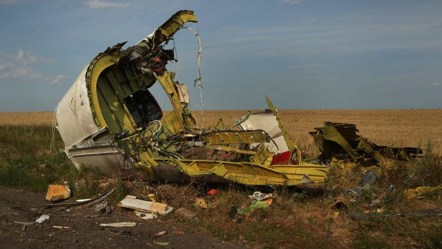 The rear fuselage of flight MH17 at the Ukrainian crash site in 2014.