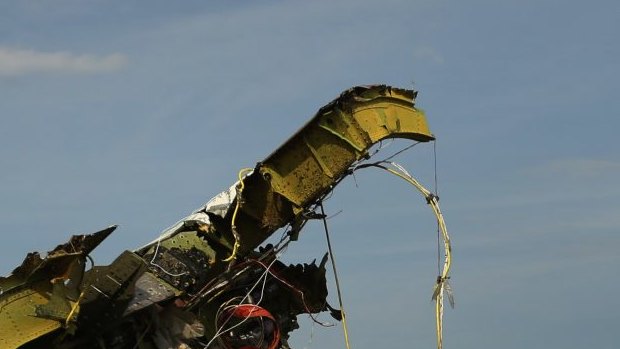 The rear fuselage of flight MH17 at the Ukrainian crash site in 2014.