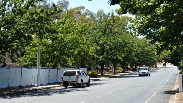 Facing the chop: trees along Constitution Avenue will be removed as part of a redevelopment.