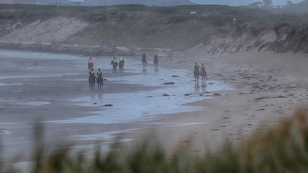 Racehorse trainers on Golfies Beach, near Port Fairy.