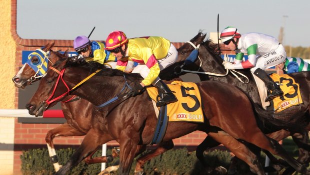 Back for revenge: Sure And Fast (inside) is pipped by Just A Blur in the Wagga Town Plate.