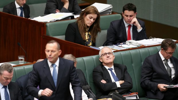 Communications Minister Malcolm Turnbull listens as Prime Minister Tony Abbott responds to a question on cabinet leaks during question time on Wednesday.