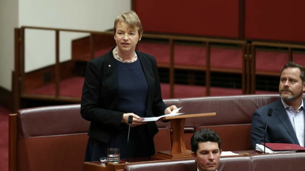 Senator Janet Rice delivers her first speech in the Senate. Photo: Alex Ellinghausen