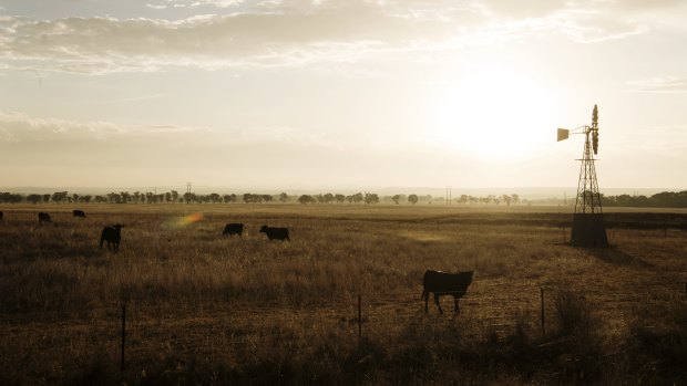 A report has revealed the extent of debt being held by Queensland's rural industries.