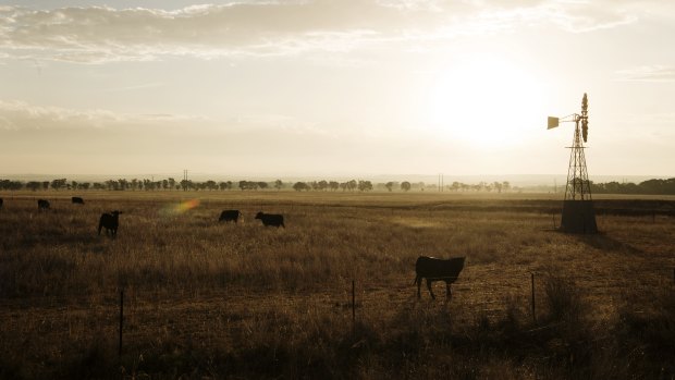 A report has revealed the extent of debt being held by Queensland's rural industries.