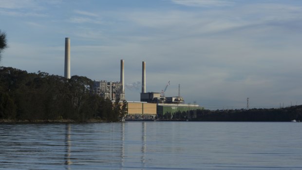 Delta Electricity bought Vales Point from the NSW government for $1 million. It was recently valued at around $720 million.