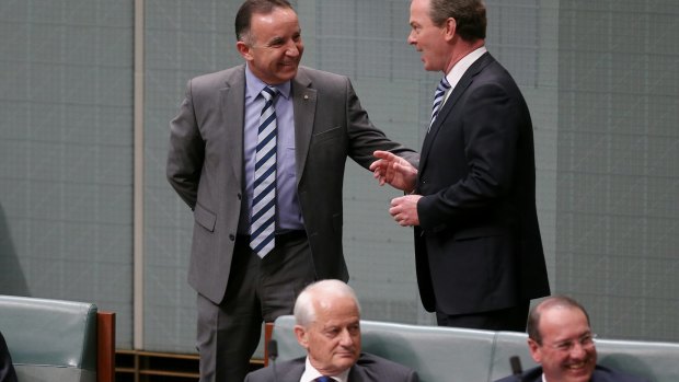 Government whip Andrew Nikolic speaks with Leader of the House Christopher Pyne during question time on Monday.