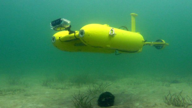 Somebody get Ringo back to Queensland! This yellow submarine (CSIRO's Starbug) has gone missing off Amity Banks, Moreton Bay. The robot was mapping kelp and coral on the sea floor when it dived out of sight.