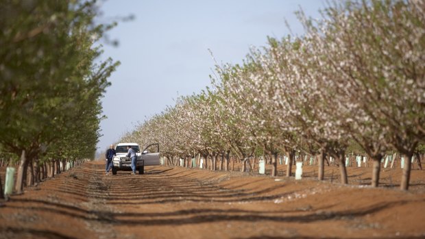 Milltrust wants to buy land and lease it back to farmers.