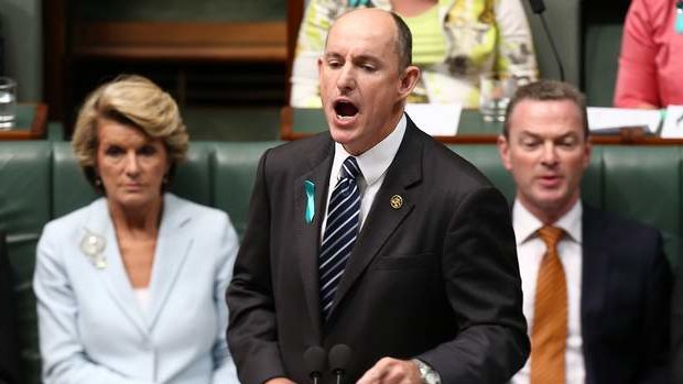 Stuart Robert. In question time. Manning up. Photo: Alex Ellinghausen