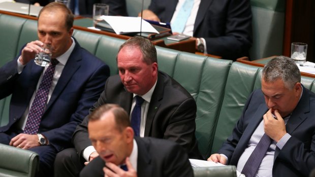 Agriculture Minister Barnaby Joyce during question time on Monday.