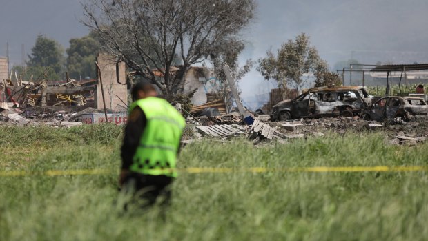 More than a dozen people were killed and at least 40 injured  when a series of explosions ripped through fireworks workshops in a town just north of Mexico City. 