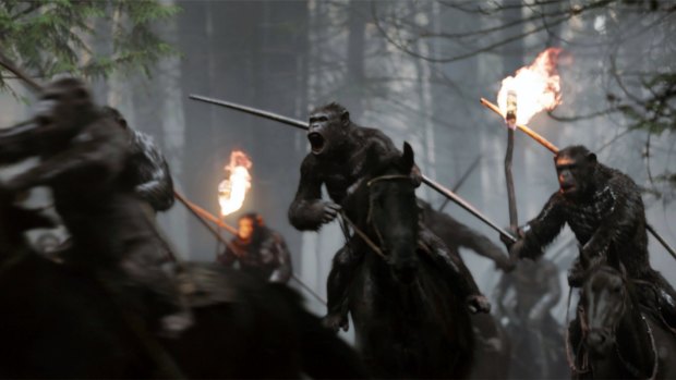 Serkis and his co-stars in the <i>Planet of the Apes</I> films went through 'ape camp', spending hours sitting on their haunches and learning to mimic the movements of the creatures.