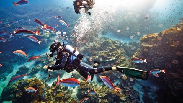 Great Barrier Reef Foundation chairman John Schubert said business and science will work together to determine funding priorities.
