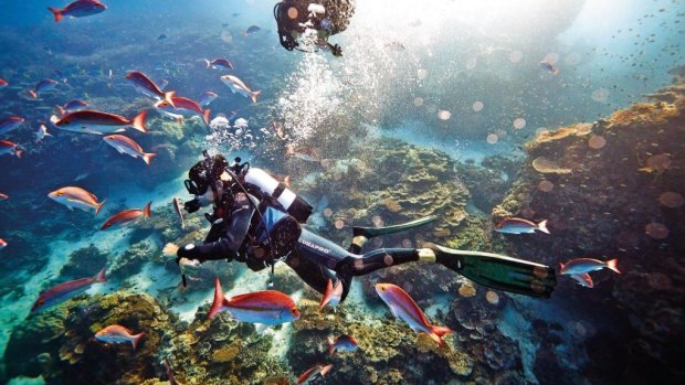 Great Barrier Reef Foundation chairman John Schubert said business and science will work together to determine funding priorities.