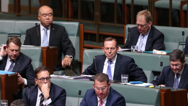 Tony Abbott during question time on Monday.