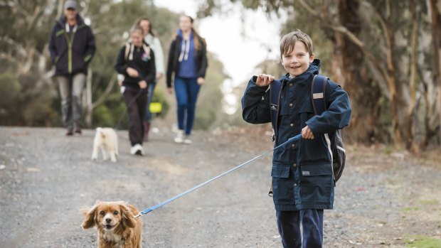 Timothy Pengilly races ahead with his dog Charlie as his parents Geoff and Roz Pengilly walk his sisters Angela and Hannah home from the bus stop. 