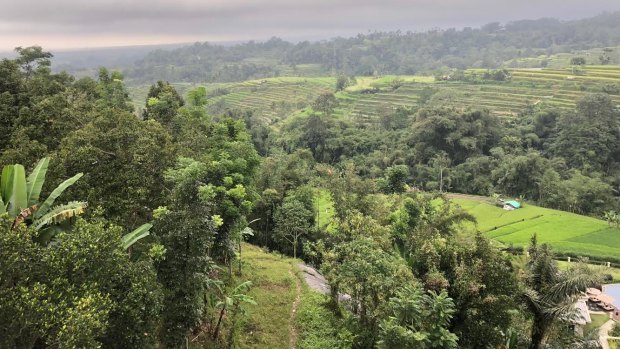 The race route wound through Bali's hills.