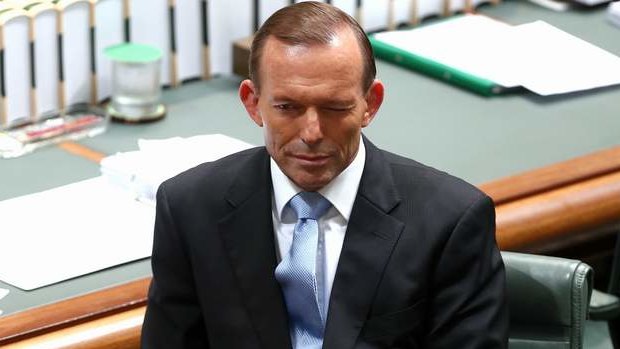 Prime Minister Tony Abbott during question time. Photo: Alex Ellinghausen
