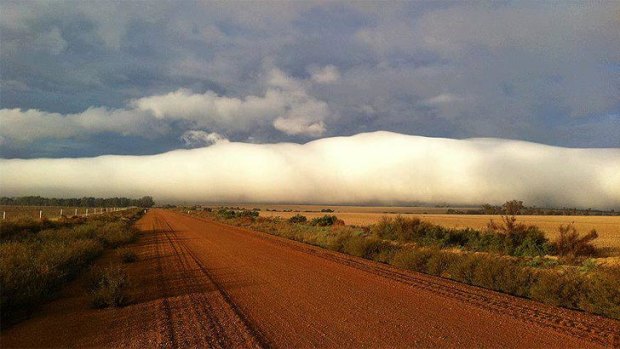 Andrew Peterson captured this awesome photo of fog lifting west of Dalwallinu.