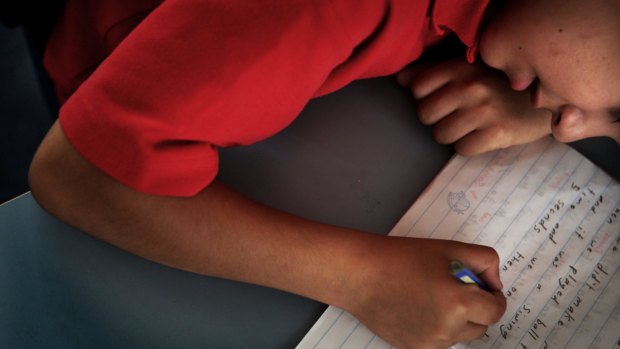 A highly critical report on the NAPLAN tests has concluded that they could "negatively affect Australia's standing in international test scores".