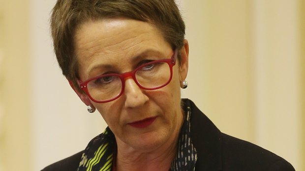 Child Safety Minister Di Farmer said the government would continue to make improvements to protect children from harm.