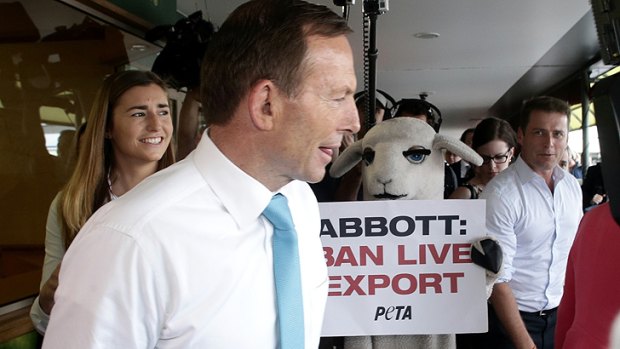 A protester follows Opposition Leader Tony Abbott during a street walk in Stafford Heights.