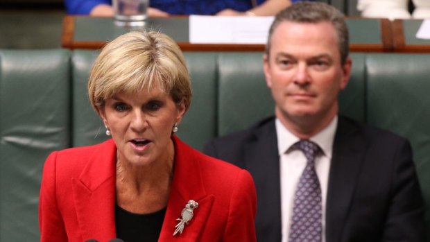Foreign Affairs Minister Julie Bishop during question time  on Wednesday.