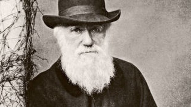 Charles Darwin's works are part of the Western tradition.