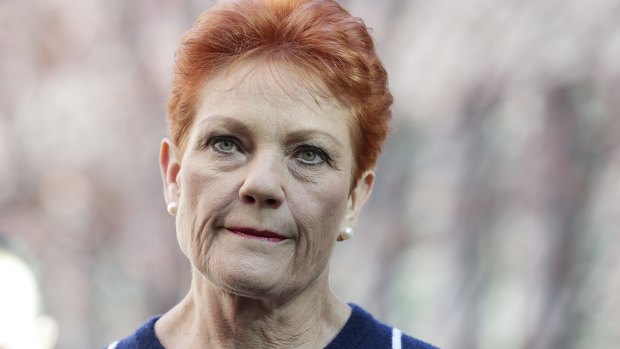 One Nation senator Pauline Hanson at a press conference on Thursday.