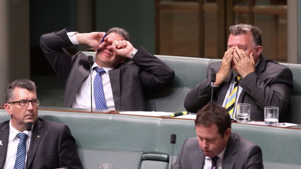 Government MPs Dennis Jensen and Craig Kelly in Parliament in 2014.