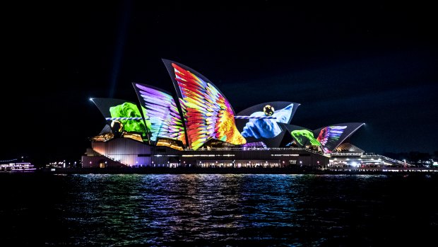 The Opera House lit up for Vivid this year.