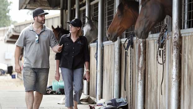 EPIC event operations manager Daniel Adams and EPIC CEO Liz Clarke check on horses transported to the stables at EPIC due to bushfires in the area.