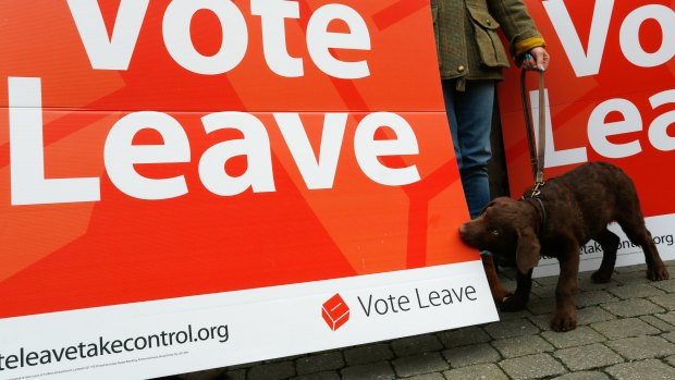 A dog bites a Vote Leave campaign poster in the run-up to the referendum in 2016.