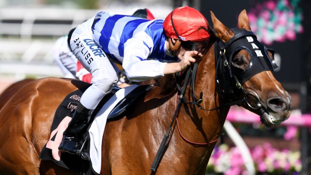 Straight track bully: Redkirk Warrior wins the Lightning Stakes at Flemington earlier this year.