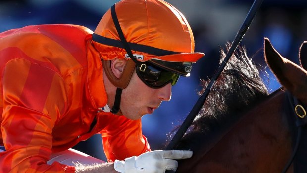 Class act: Jockey Brenton Avdulla rides Dreamforce to win at Rosehill Gardens.