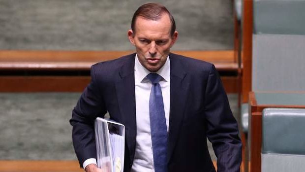 Prime Minister Tony Abbott during question time. Photo: Andrew  Meares