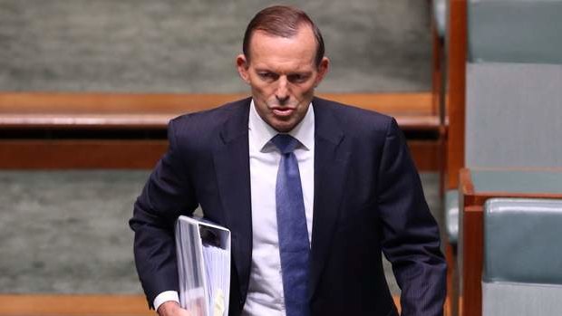 Prime Minister Tony Abbott during question time. Photo: Andrew  Meares