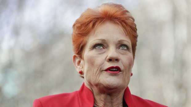 Pauline Hanson's One Nation has lashed out at Labor. 
